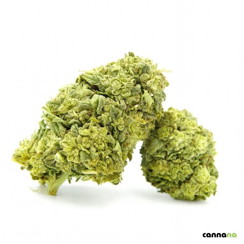 Frosted Cookies Superior 55 % ❄️🍪